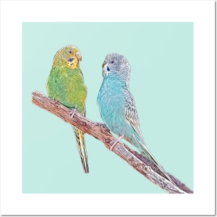 Cute budgies - green and blue Posters and Art